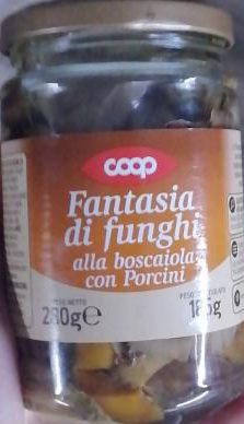 Fotografie - Fantasia di funghi coop hriby v naleve