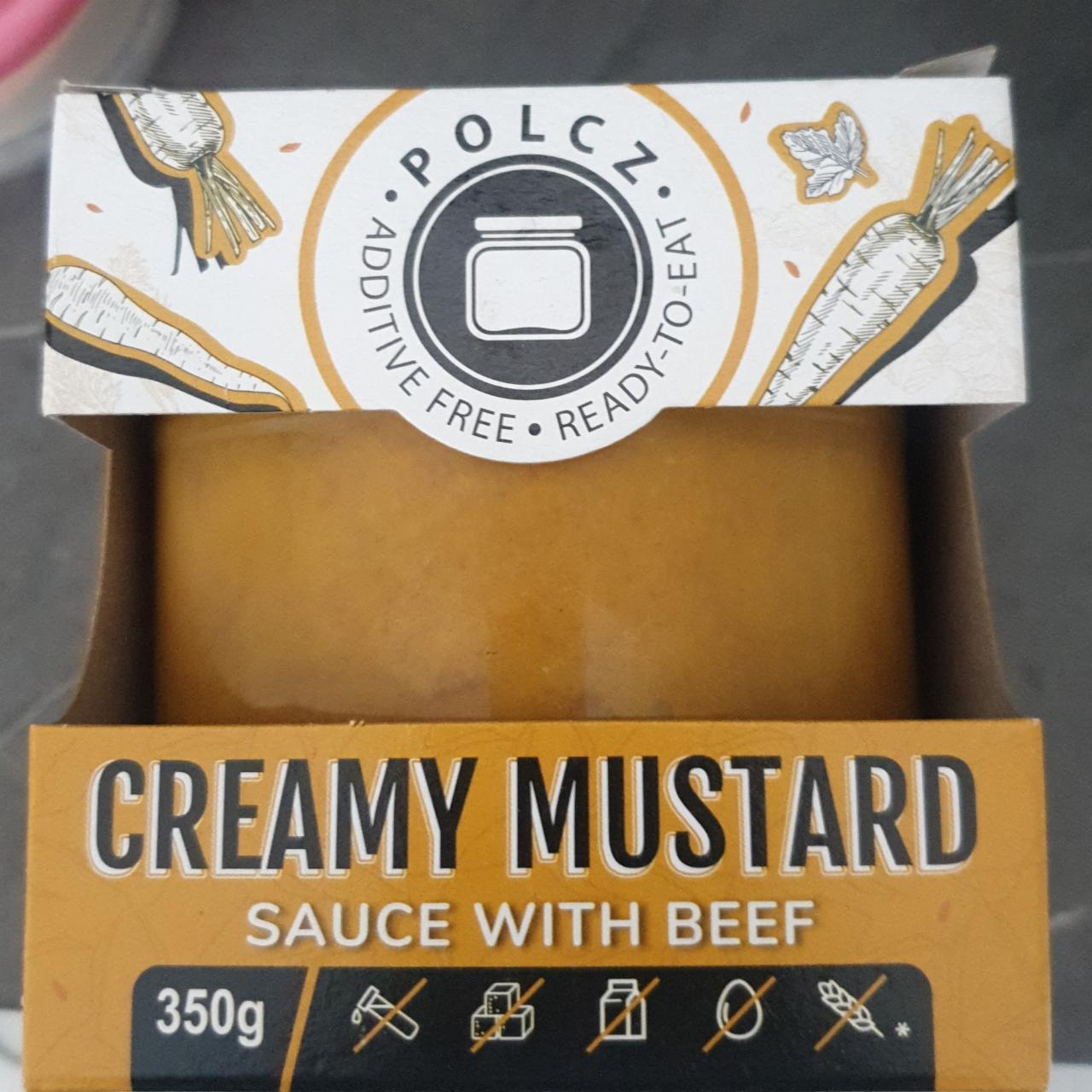 Fotografie - Creamy Mustard Sauce with beef Polcz