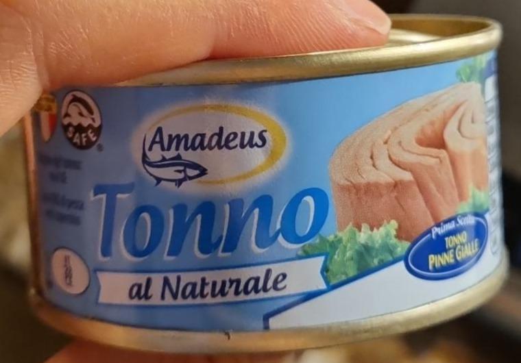 Fotografie - Tonno al naturale Amadeus