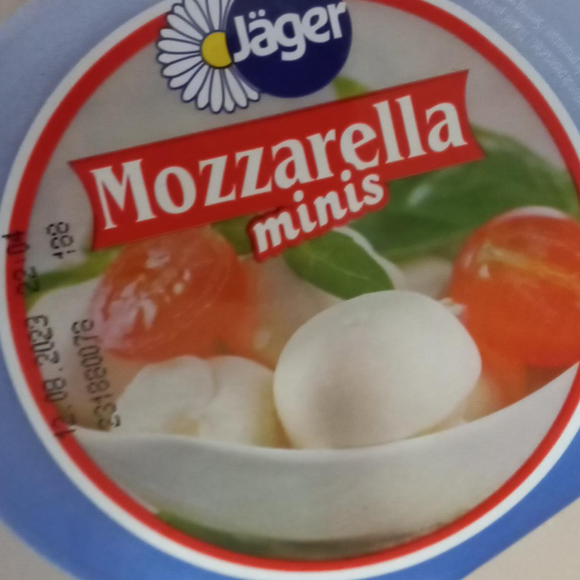 Fotografie - mozzarela minis jager