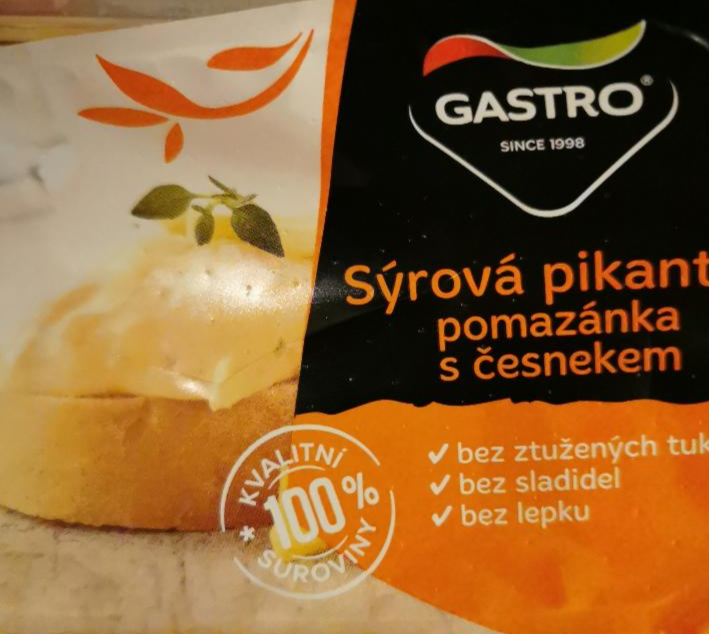 Fotografie - Gastro Sýrová pikantní pomazánka s česnekem
