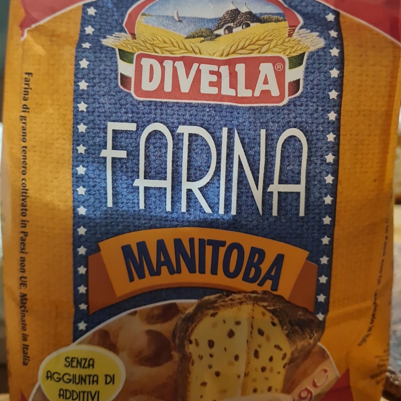 Fotografie - Farina manitoba Divella