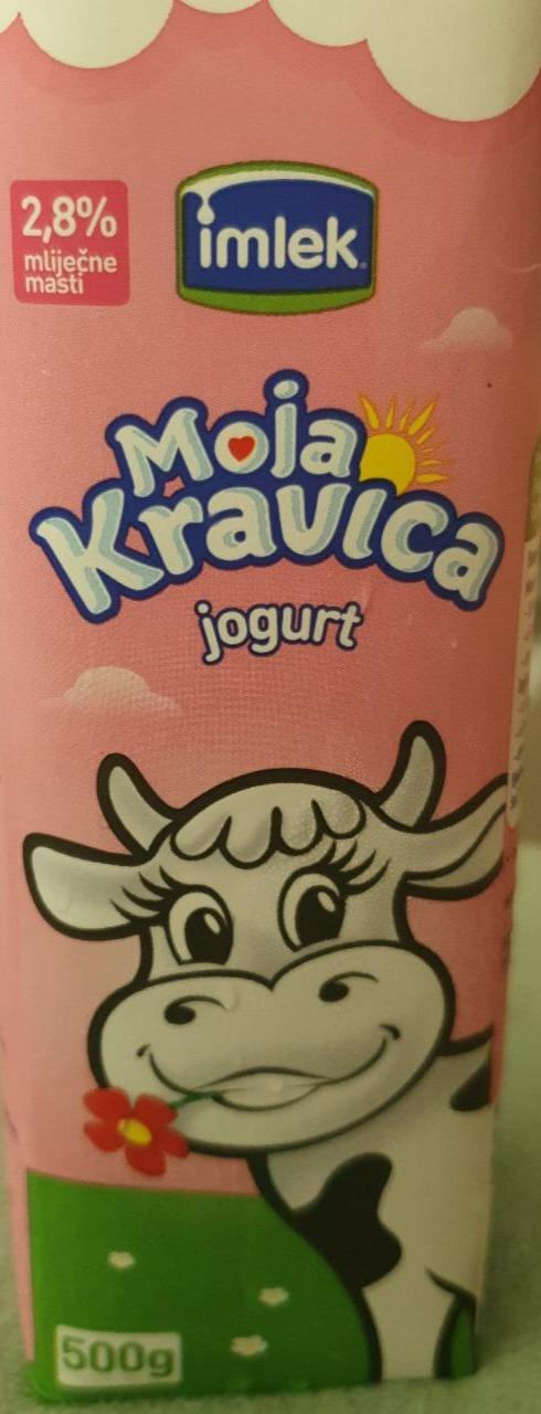 Fotografie - Moja Kravica jogurt 2,8% Imlek
