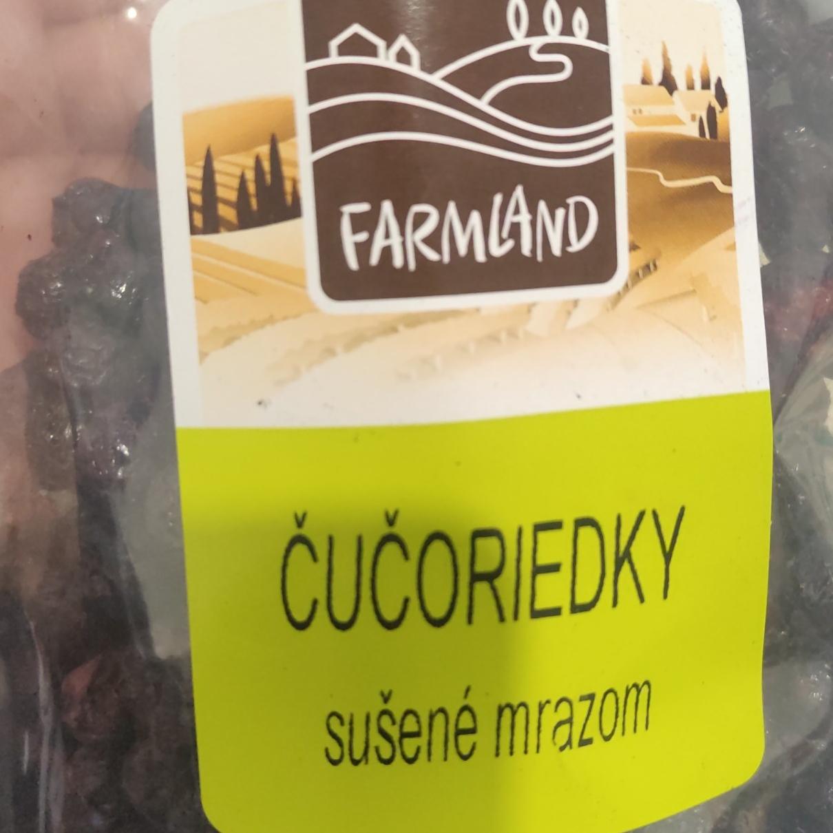 Fotografie - Čučoriedky sušené mrazom Farmland