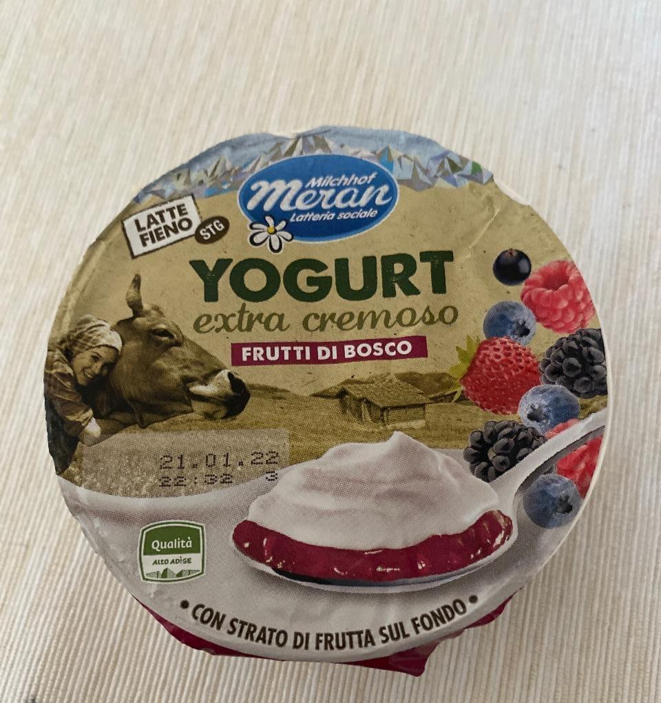 Fotografie - Yogurt Meran extra cremoso Frutti di bosco 