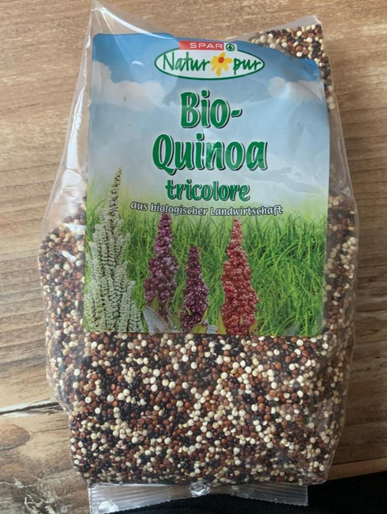 Fotografie - Bio-Quinoa tricolore