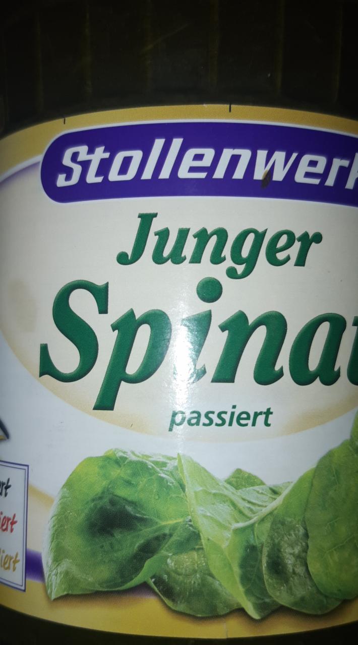 Fotografie - junger spinat