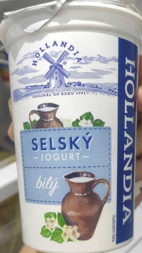 Fotografie - Hollandia jogurt gazdovský biely 3,5 % tuku