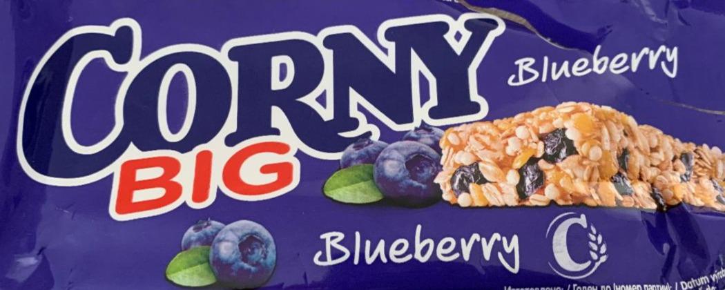 Fotografie - Corny Big Blueberry