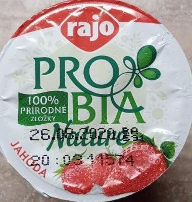 Fotografie - ProBia Nature jahoda Rajo Tuk 2,5%