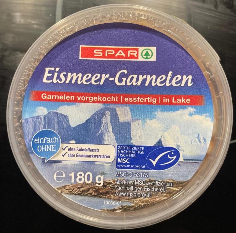 Fotografie - Eismeer Garnelen Spar