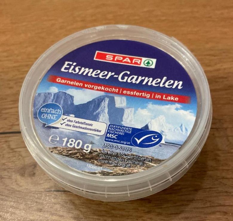 Fotografie - Eismeer Garnelen Spar