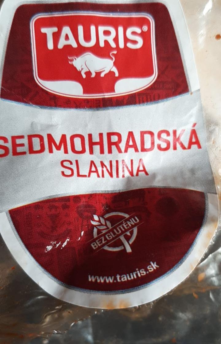 Fotografie - Sedmohradská slanina Tauris