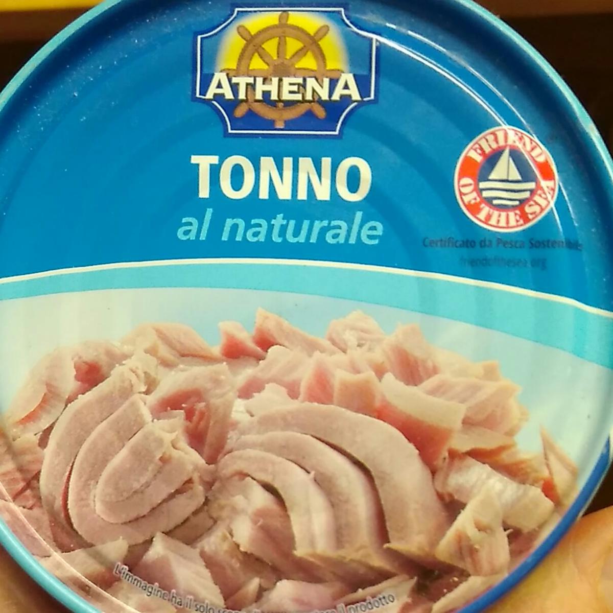 Fotografie - Tonno al naturale Athena