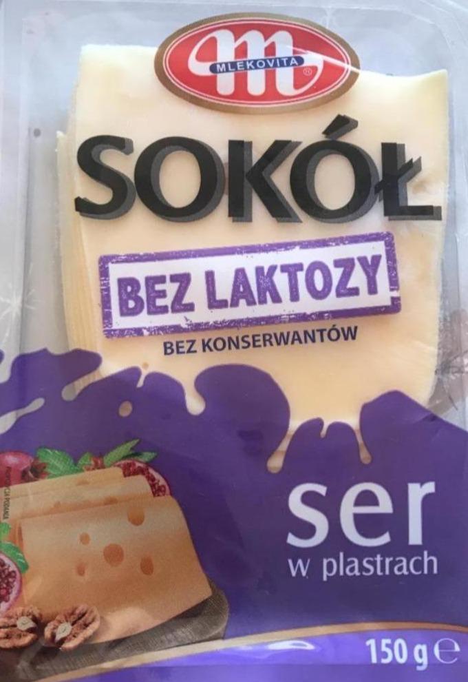 Fotografie - sokól bez laktózy