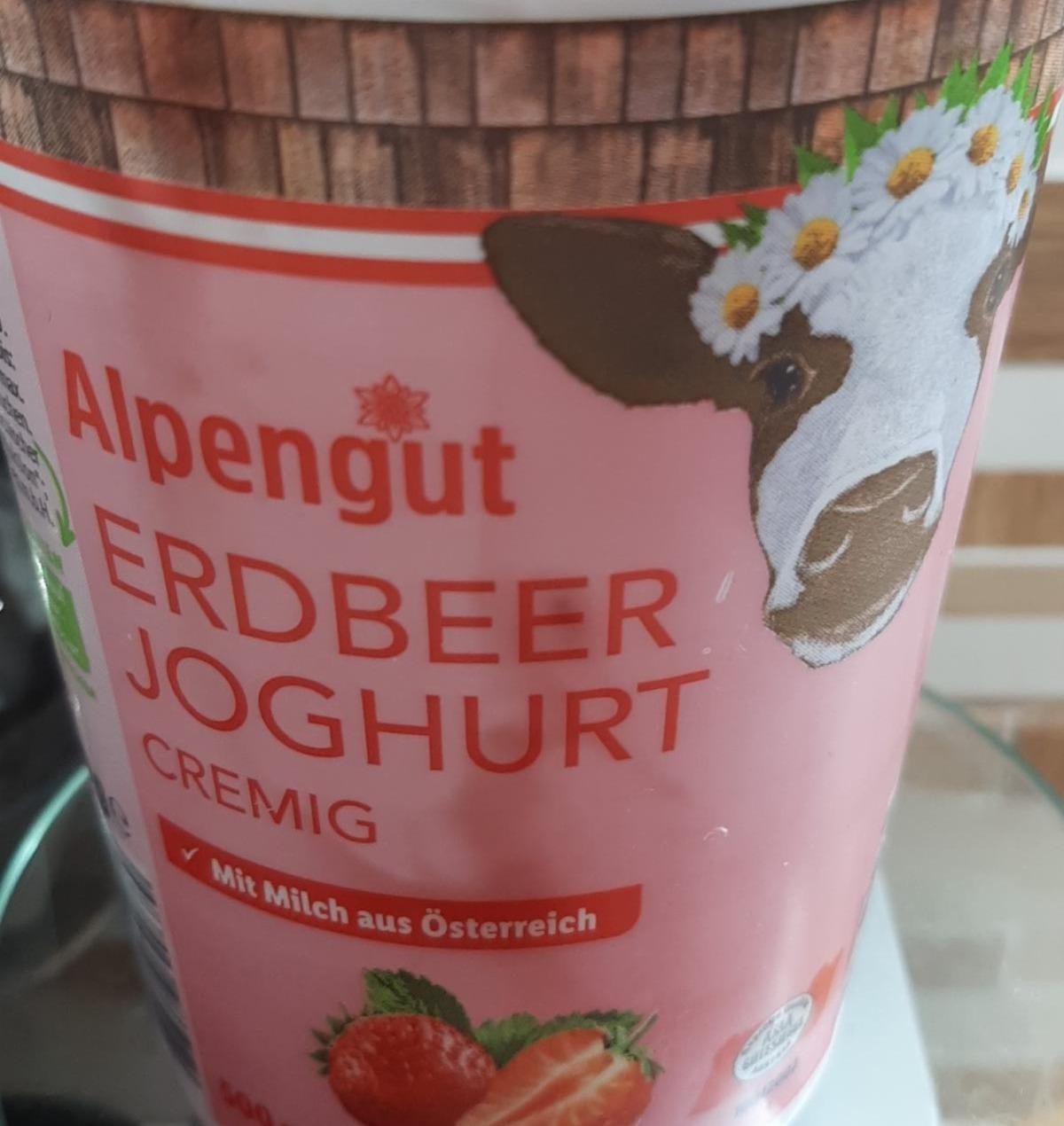 Fotografie - Erdbeer Joghurt Alpengut