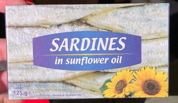 Fotografie - Sardines in sunflower oil