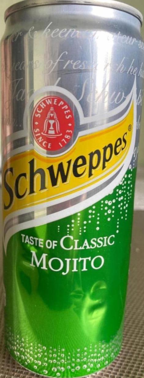 Fotografie - Mojito Schweppes