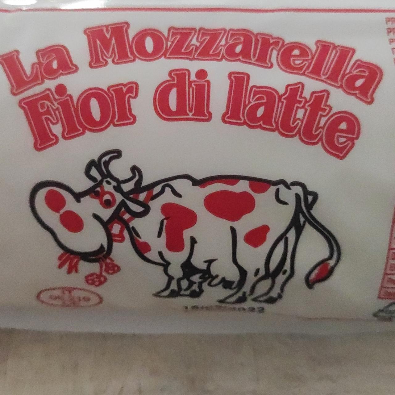 Fotografie - La Mozzarella Fior di latte