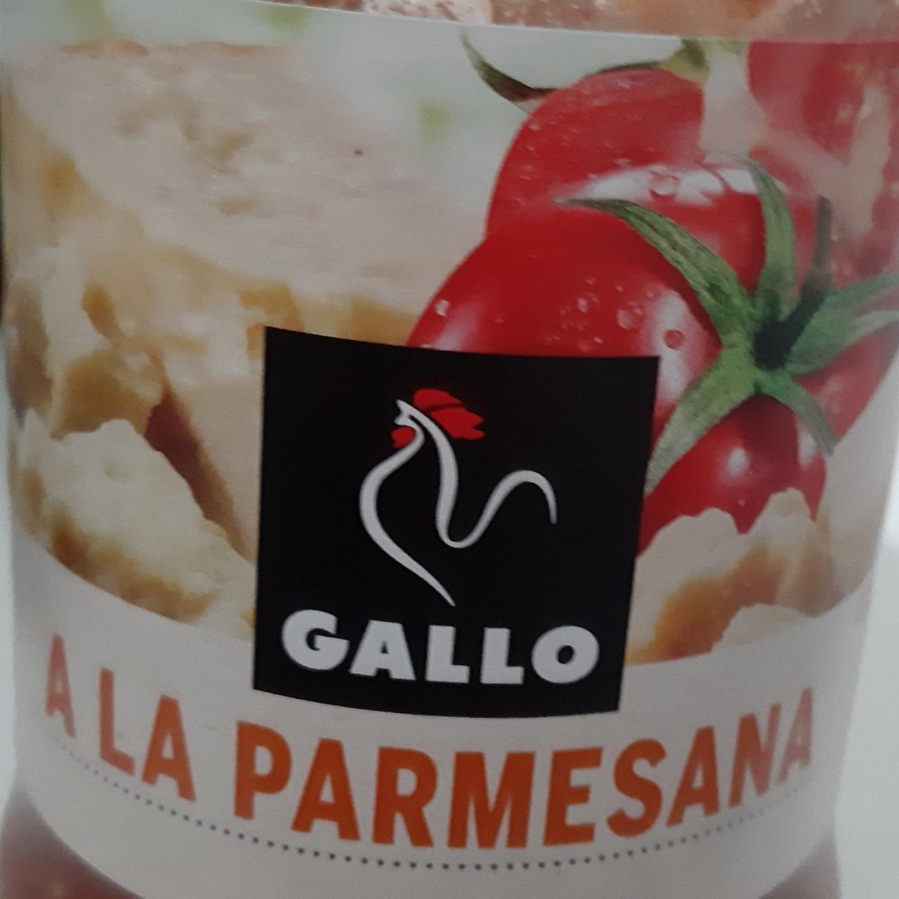 Fotografie - Gallo A La Parmesana