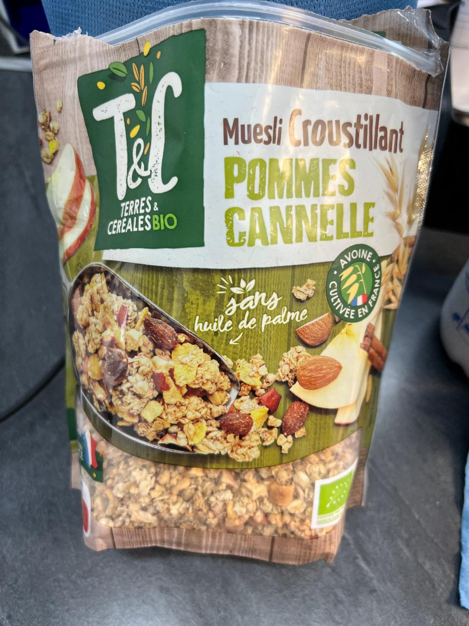 Fotografie - muesli croustillant pommes cannelle