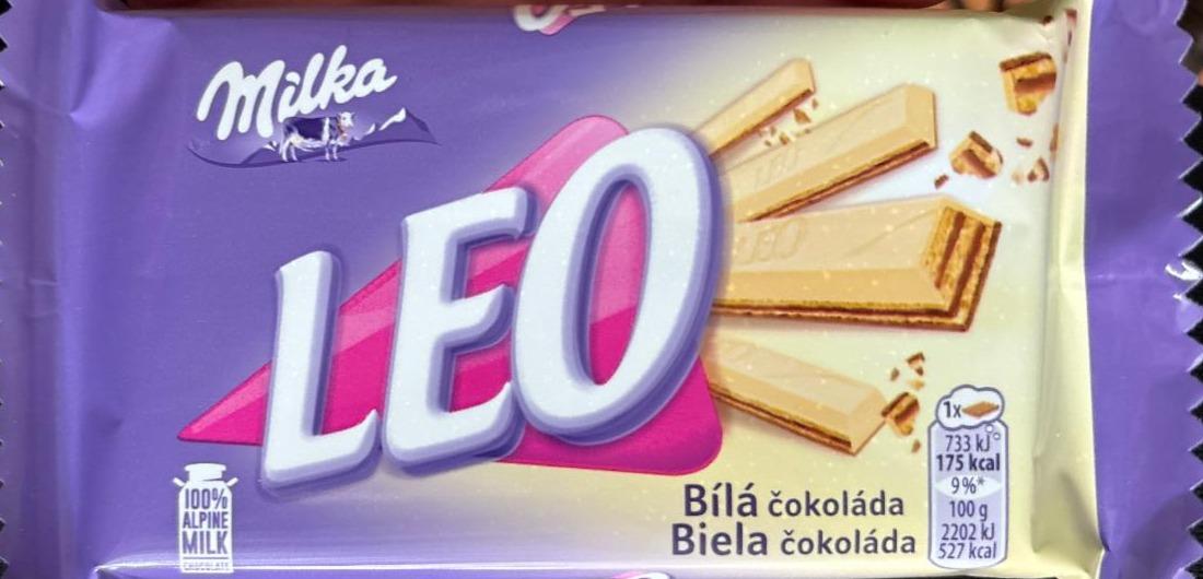 Fotografie - Milka LEO