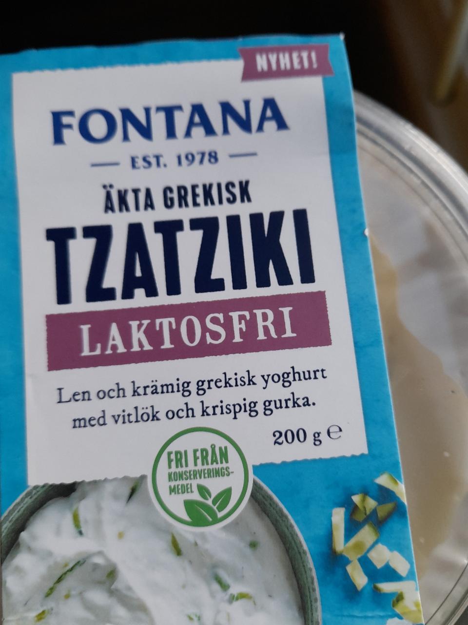 Fotografie - Tzatziki Fontana