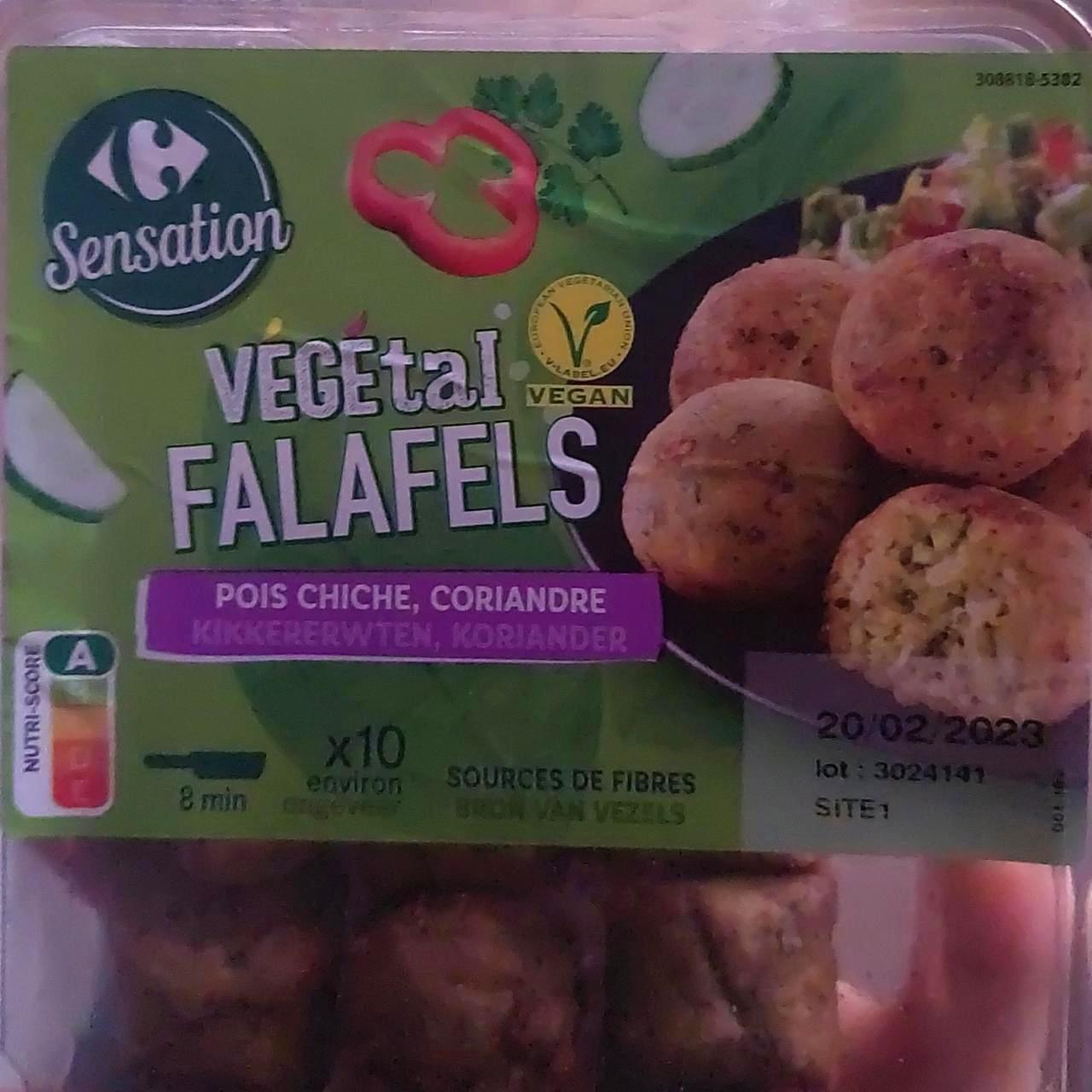 Fotografie - Vegetal Falafels Carrefour Sensation