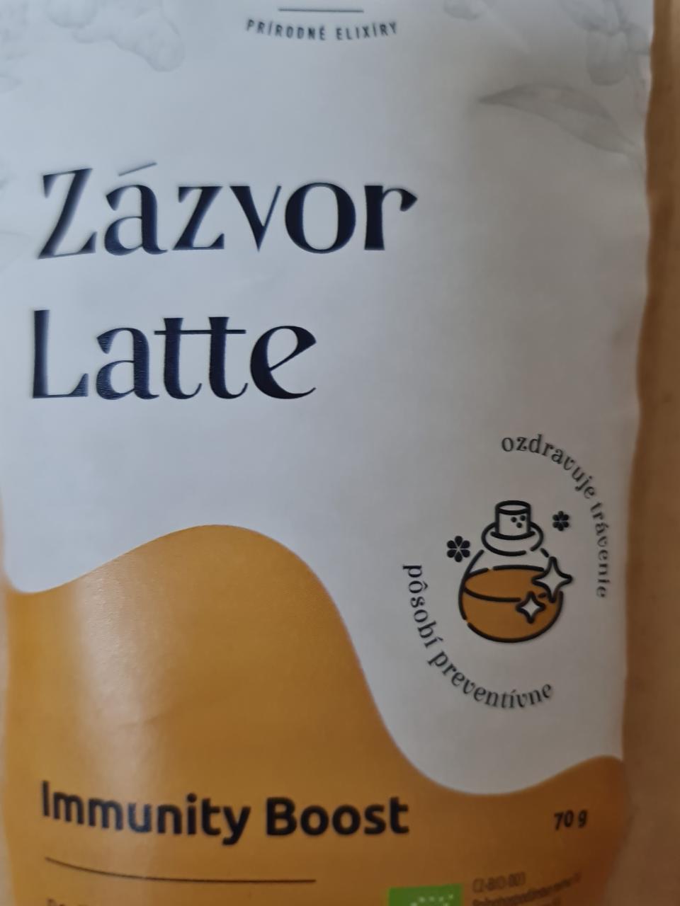 Fotografie - Nu3o Zázvor latte