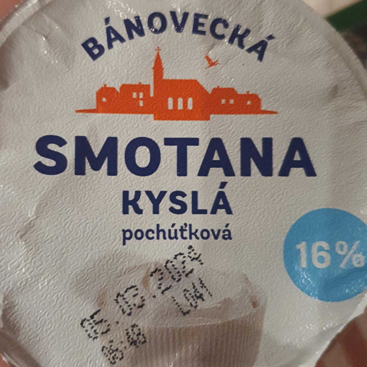 Fotografie - Bánovecká Smotana kyslá pochúťková 16% Milsy