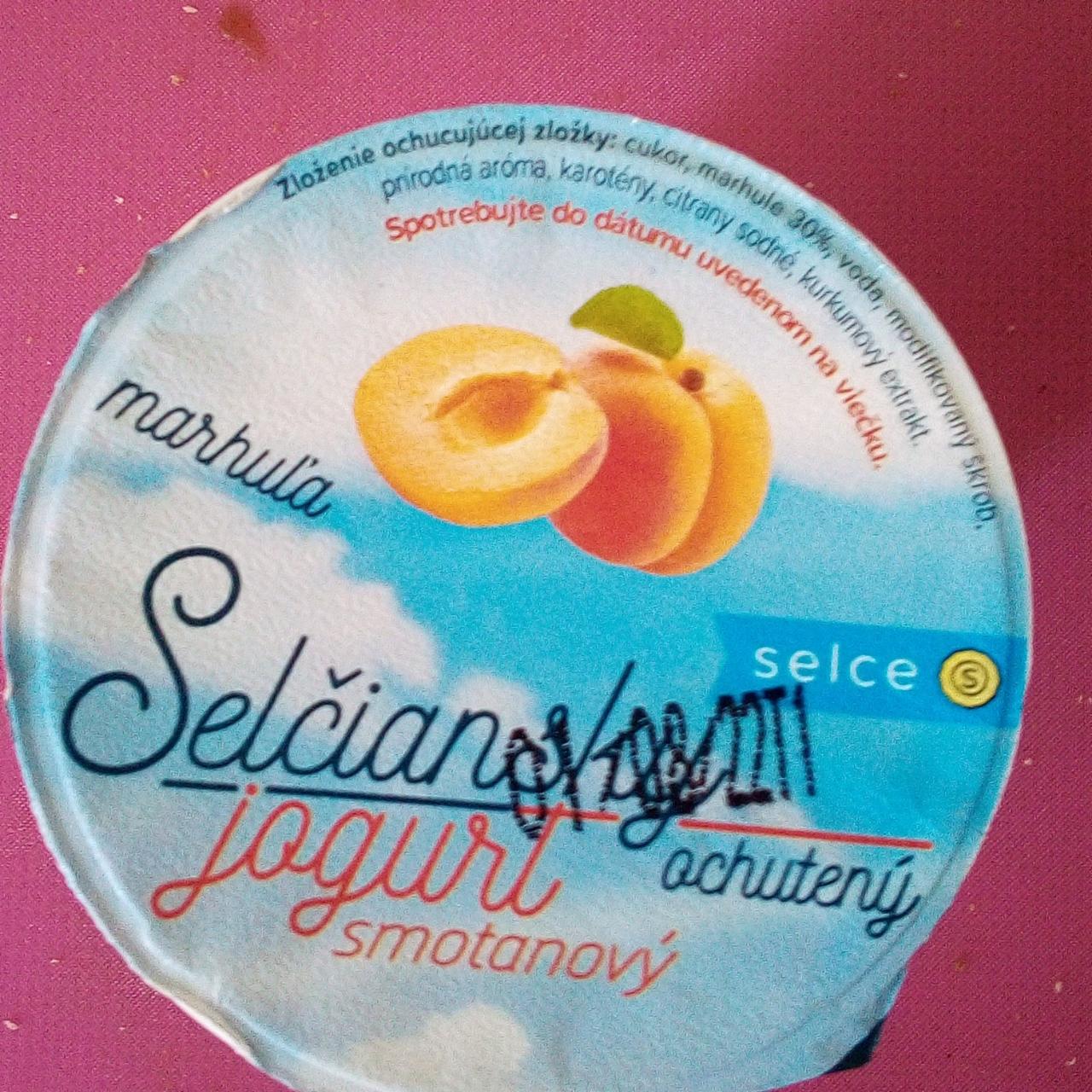Fotografie - Selčiansky jogurt smotanový marhuľa