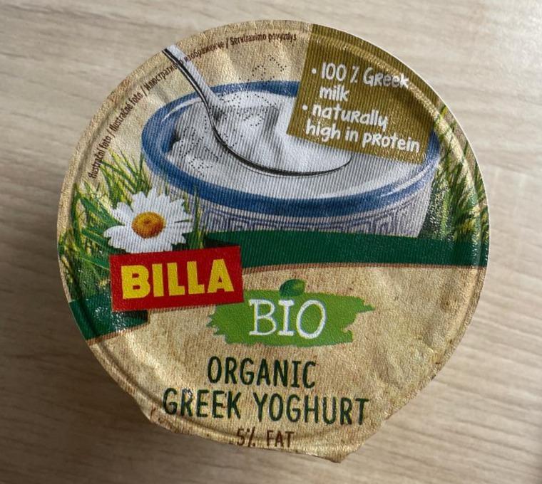 Fotografie - organic greek yoghurt Billa Bio