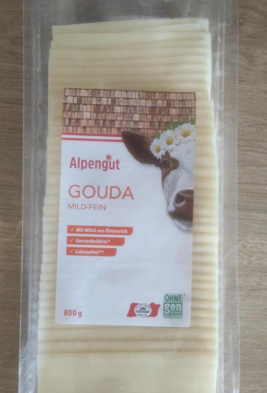 Fotografie - Gouda Alpengut