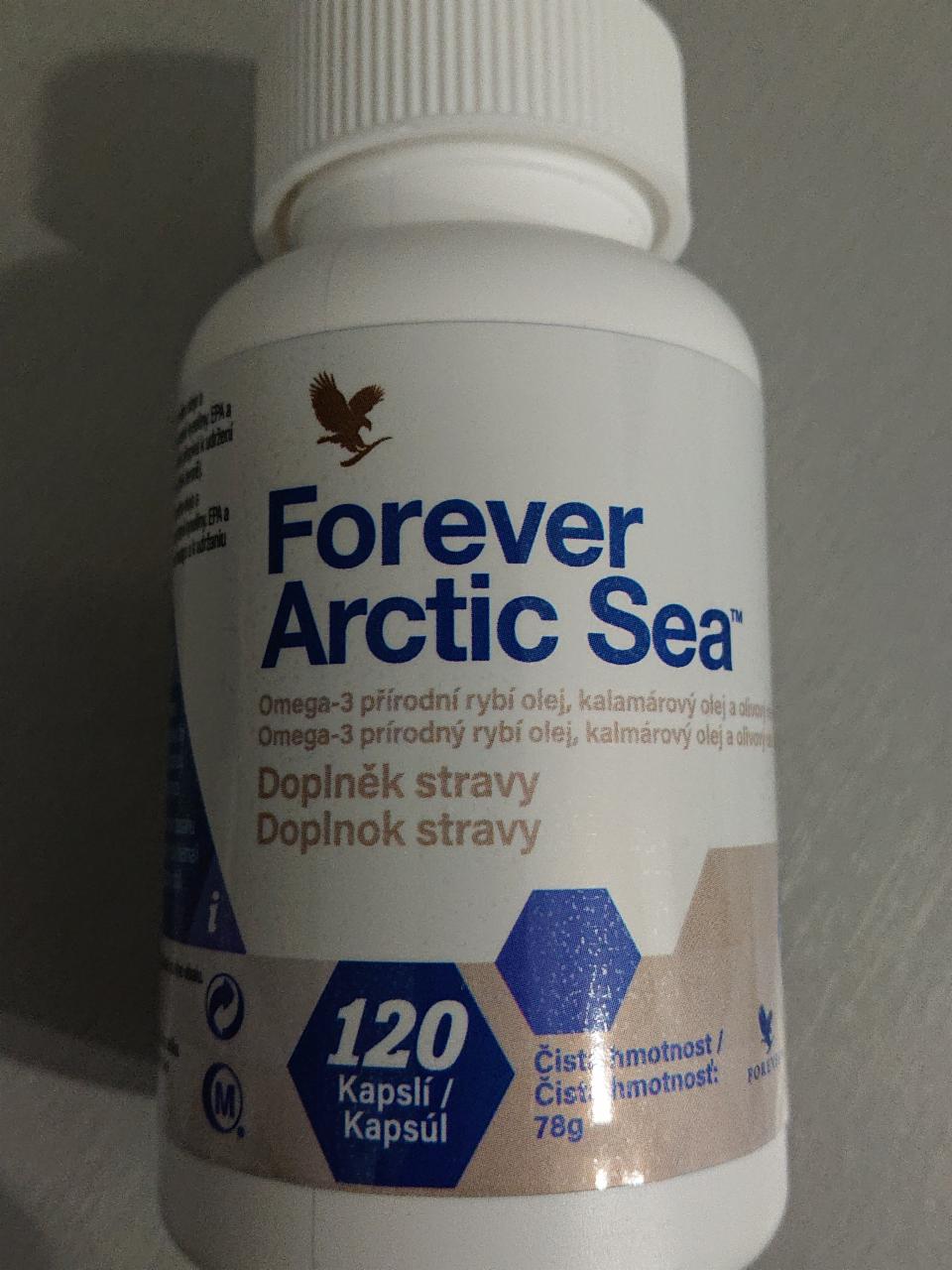 Fotografie - Forever arctic sea