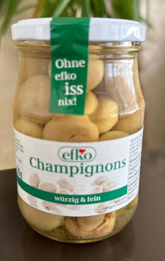 Fotografie - Champignons Efko