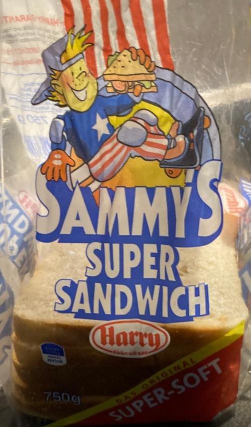 Fotografie - Sammy's Super Sandwich Harry