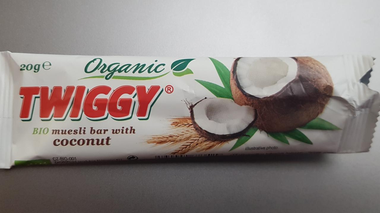 Fotografie - Bio müsli kokosová tyčinka Twiggy