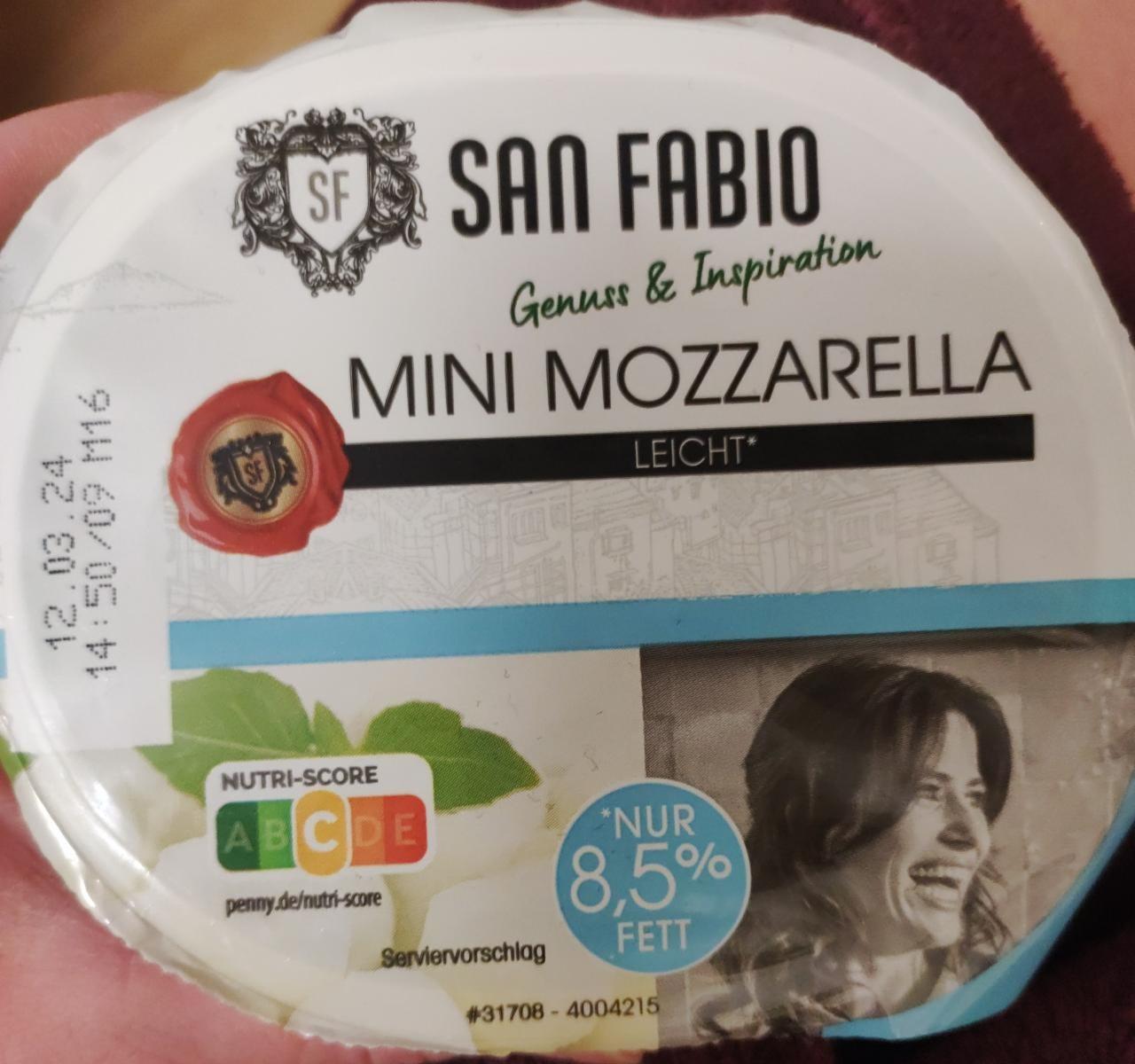 Fotografie - Mini Mozarella Light San Fabio