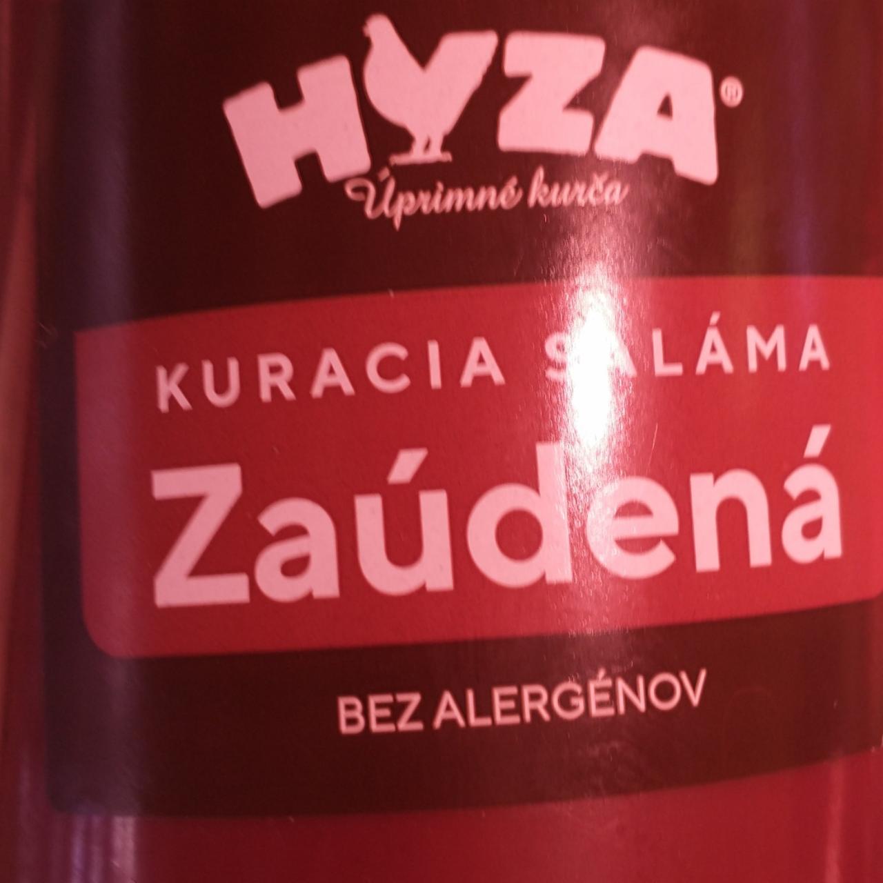 Fotografie - Zaúdená kuracia saláma Hyza