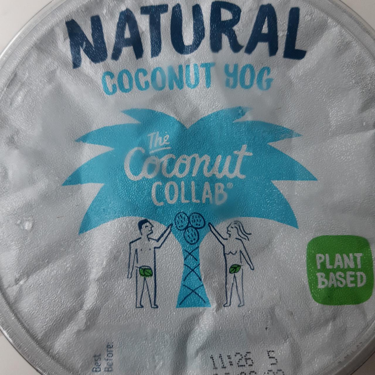 Fotografie - Natural Coconut Yog The Coconut Collab