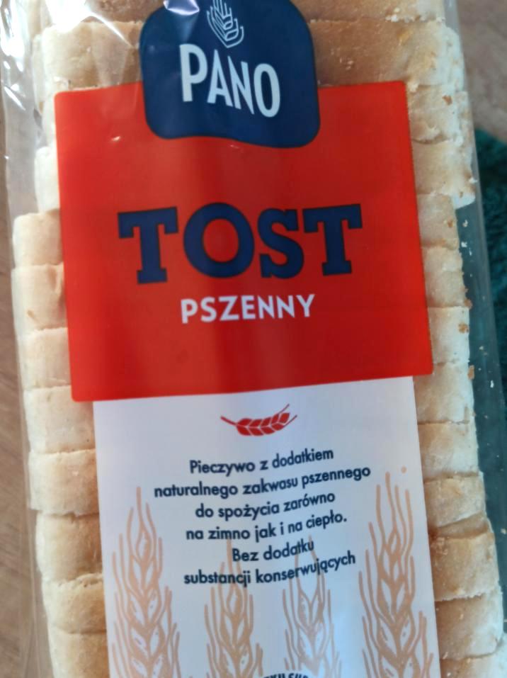 Fotografie - Tost pszenny Pano