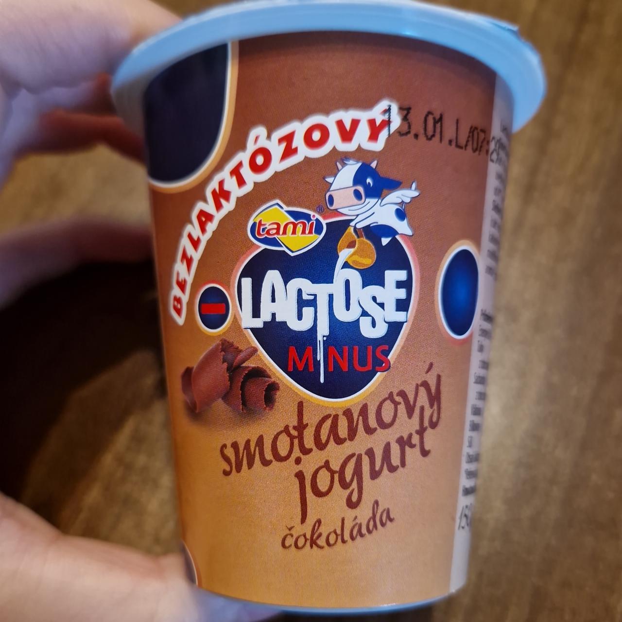 Fotografie - Bezlaktózový smotanový jogurt čokoláda Tami