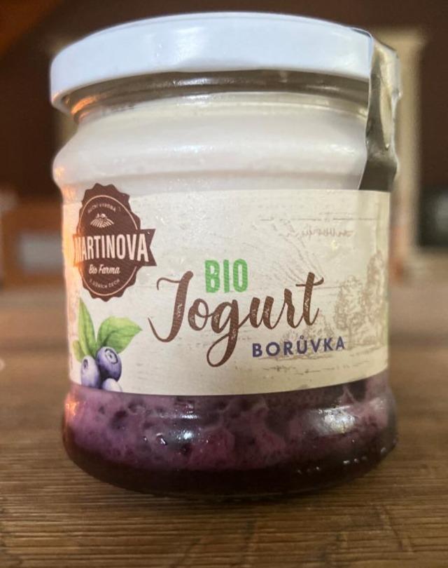 Fotografie - BIO Jogurt borůvka Bemagro