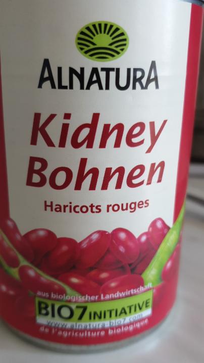 Fotografie - bio rote kidney bohnen