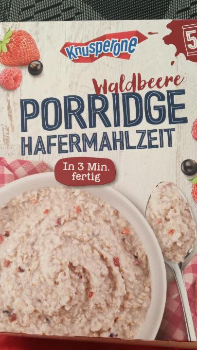 Fotografie - PORRIDGE HAFERMAHLZEIT lesní plody