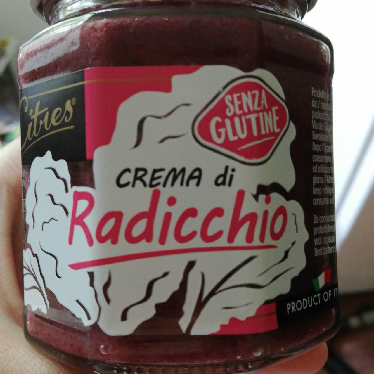 Fotografie - Crema di radicchio citres