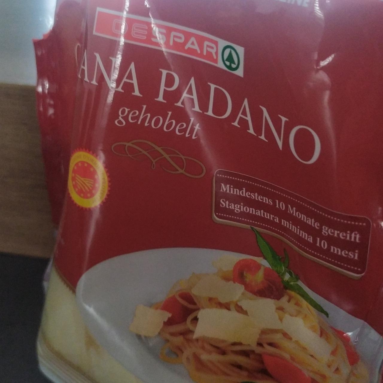 Fotografie - Grana Padano Spar