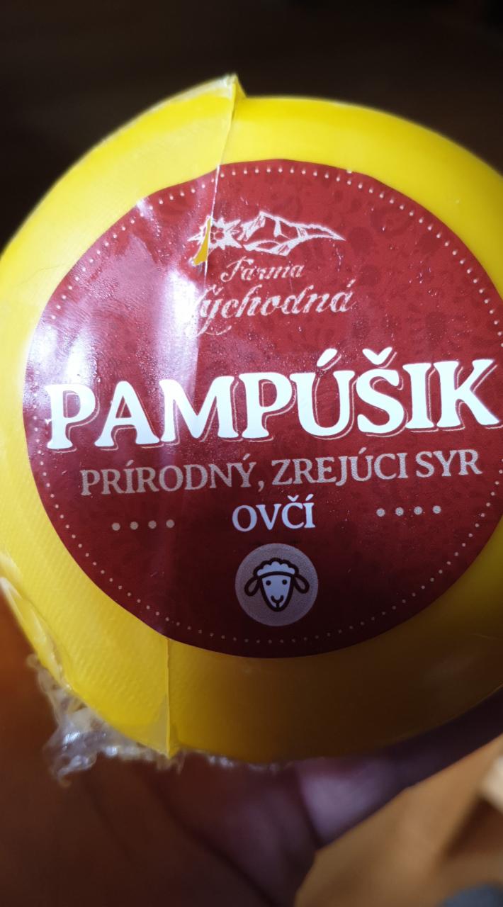 Fotografie - PAMPÚŠIK ovčí Farma Východná