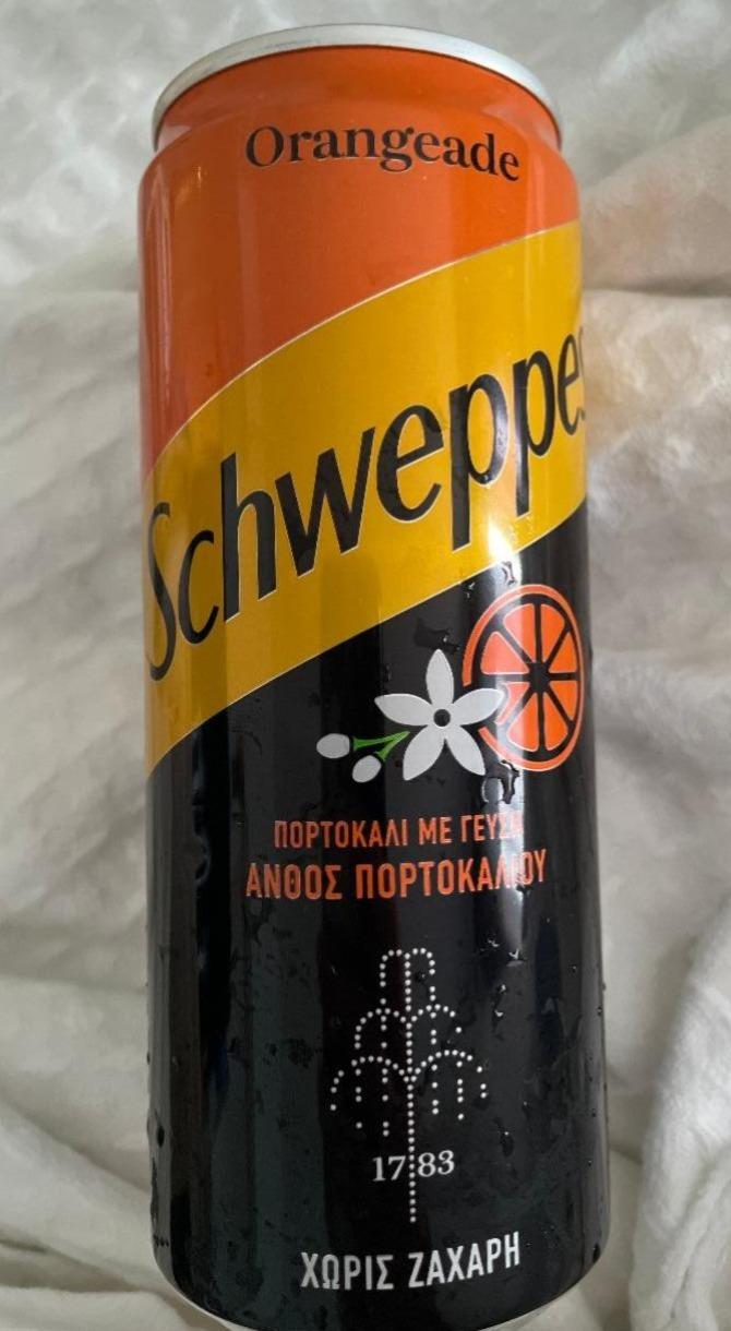 Fotografie - Schweppes Orangeade