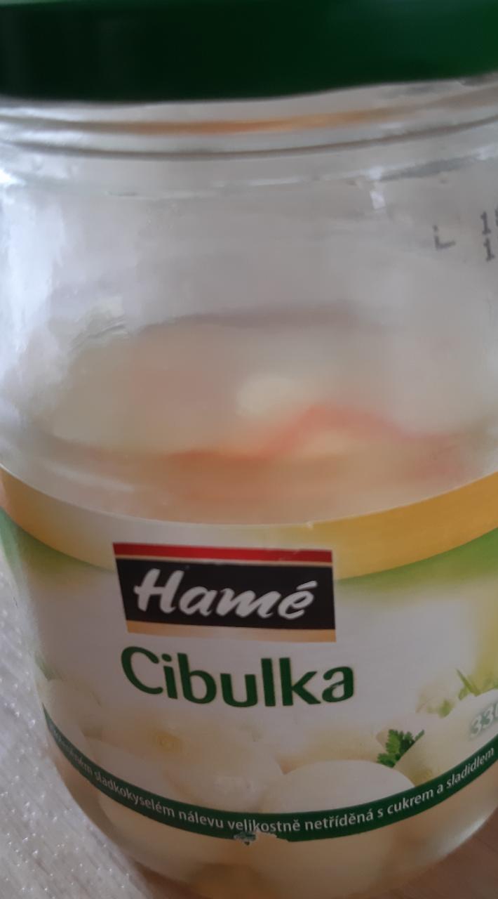 Fotografie - Cibulka Hamé